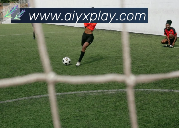 互动解说服务